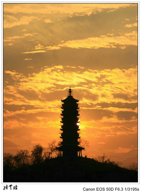 复件 IMG_2844_conew1.jpg