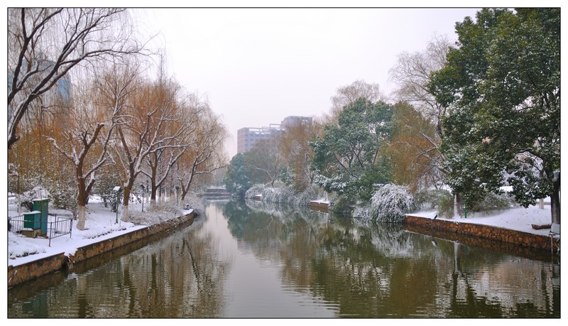 DSC_0174.jpg
