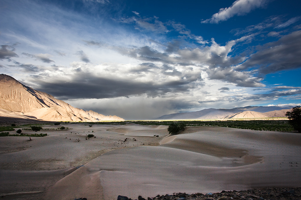4_MG_4099-0-ys.jpg