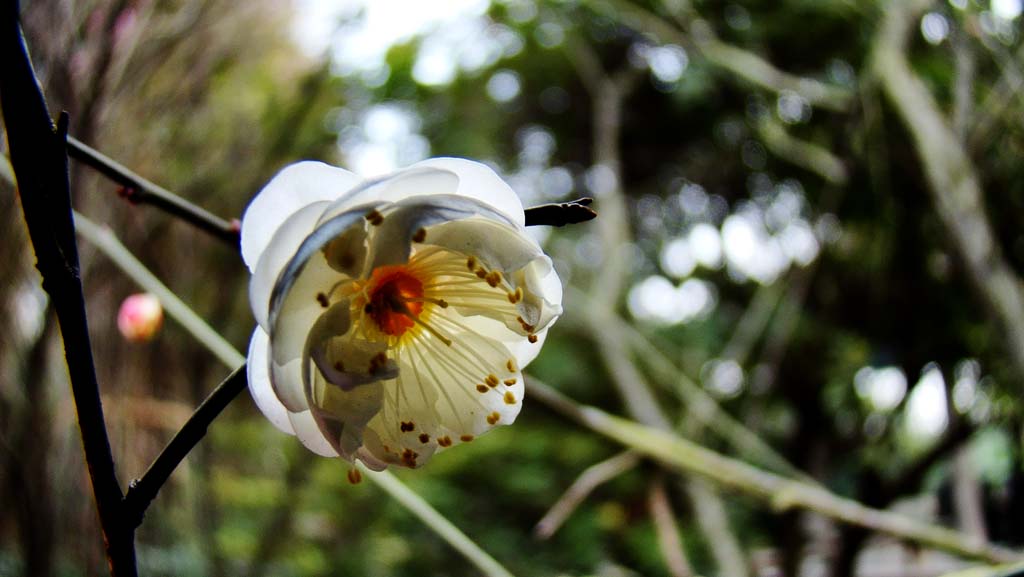 DSC04905.jpg