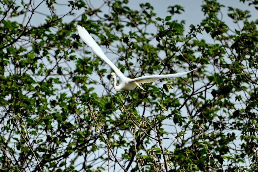 ͼƬ 027.jpg
