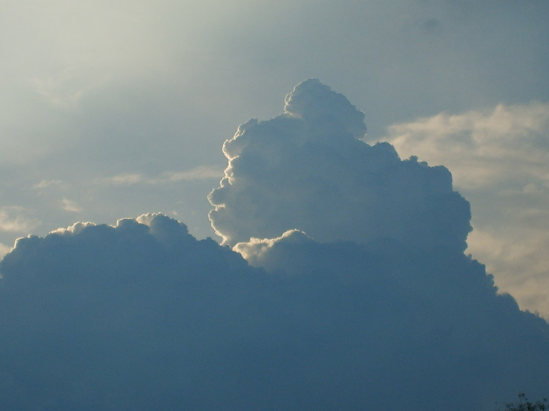 S5001540.JPG