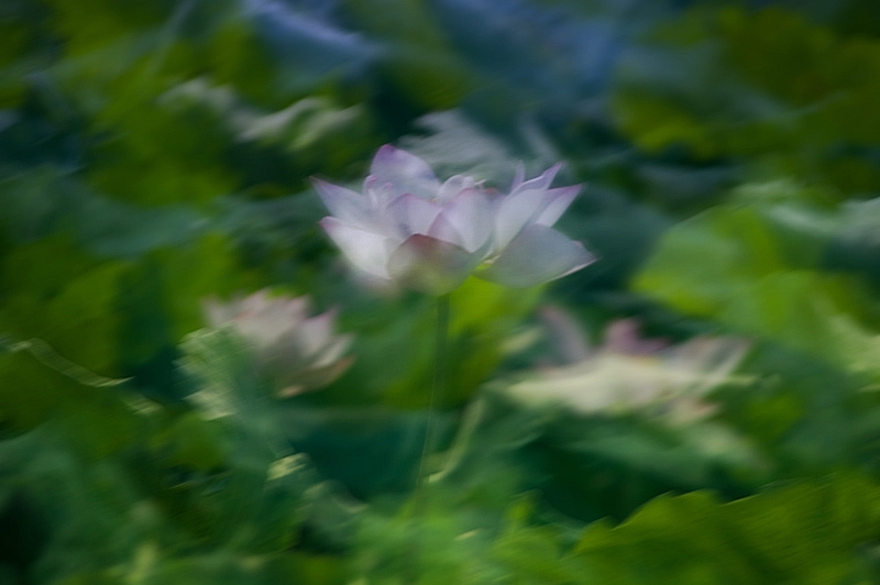 11070323421005e16985a3d470A_.jpg
