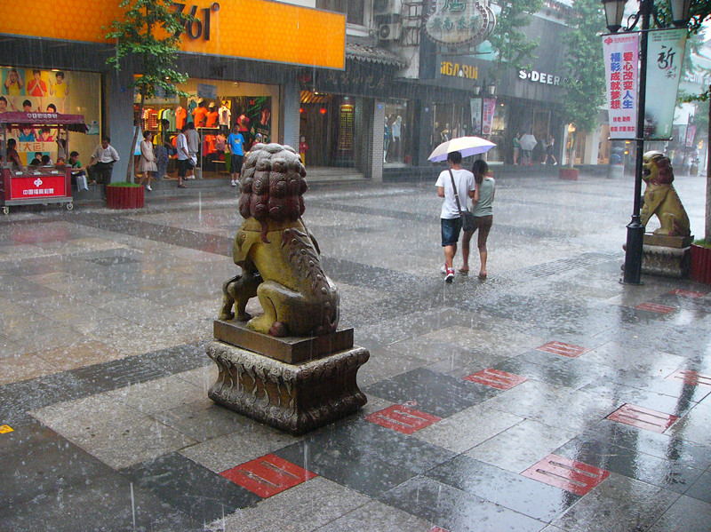 雨中情