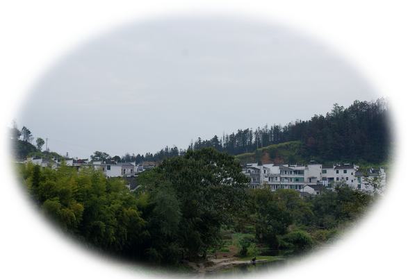 DSC01964.JPG