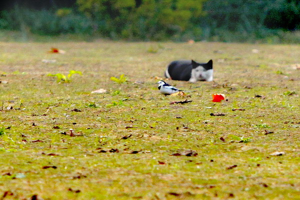 _MG_3617.jpg