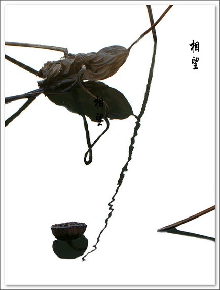 DSC00925副本.jpg