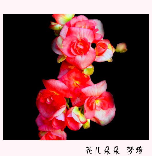 psb副本.jpg