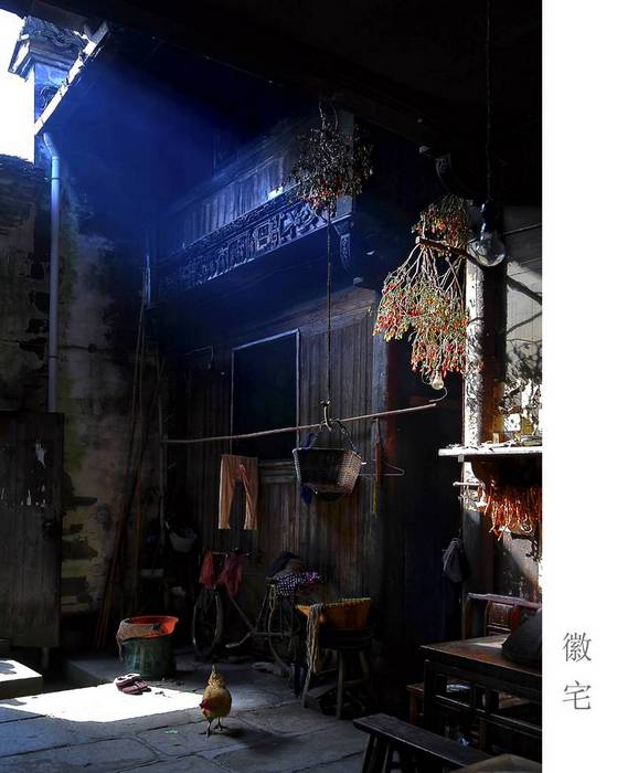 汪建新 (1).jpg