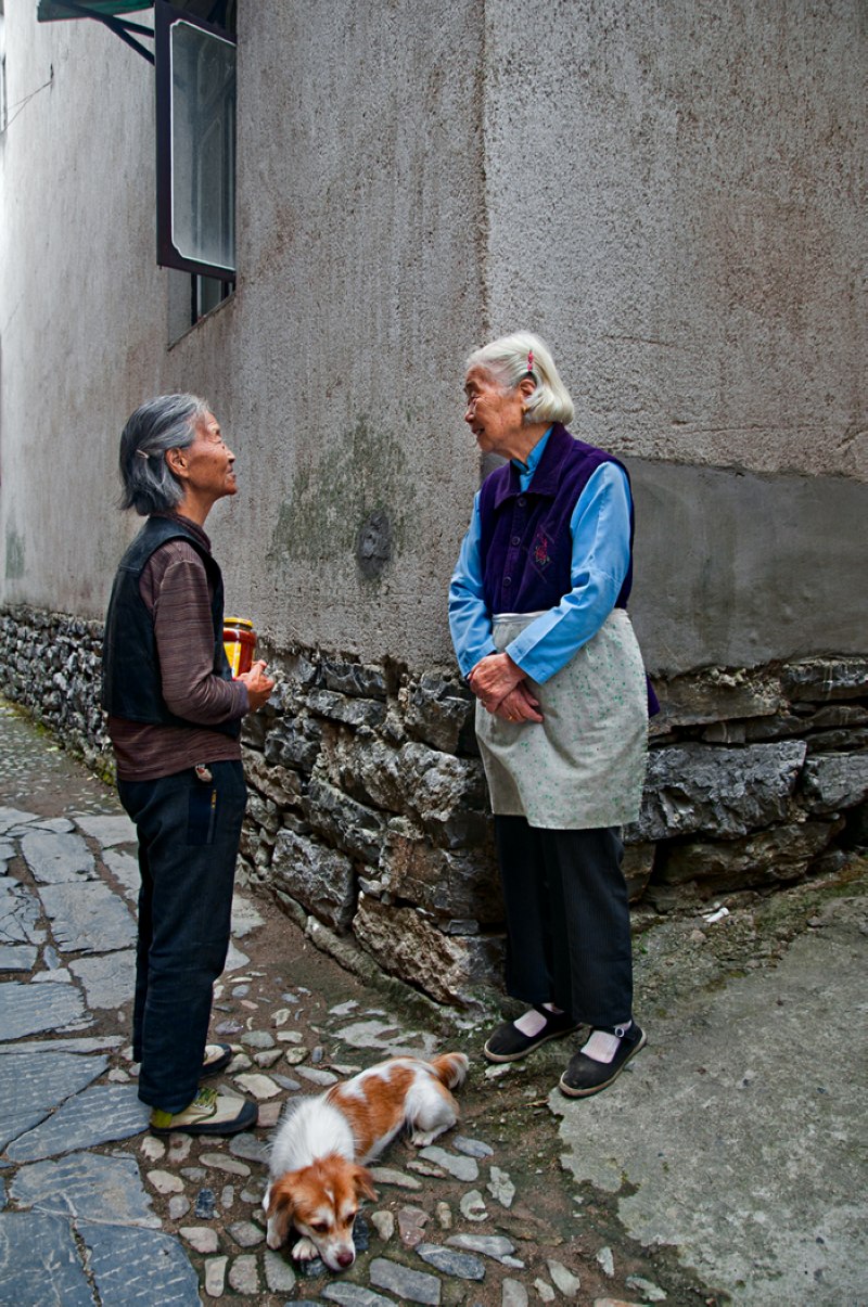胡建川《老姐妹》.JPG