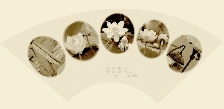 尹秀忠《生命的轨迹》.JPG