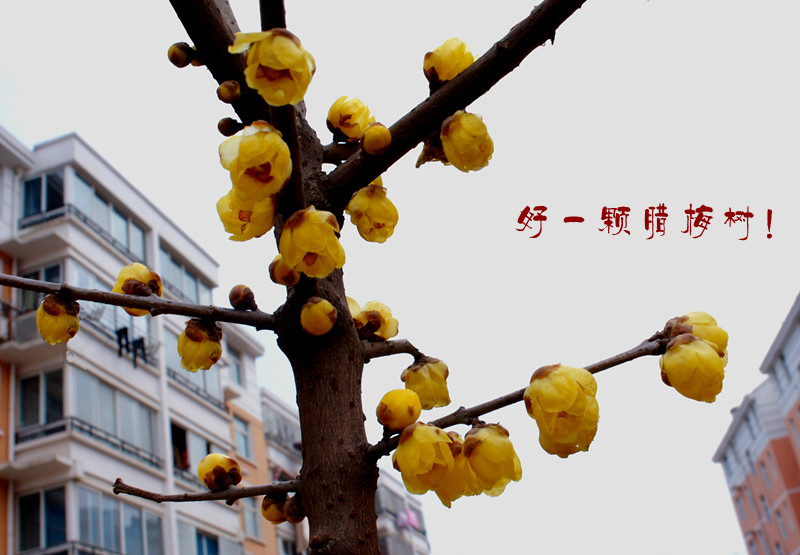 DSC05514_副本_副本_副本.jpg
