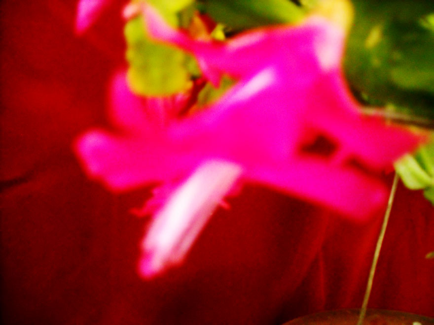 DSCN1329.JPG