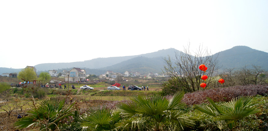 DSC00558.JPG