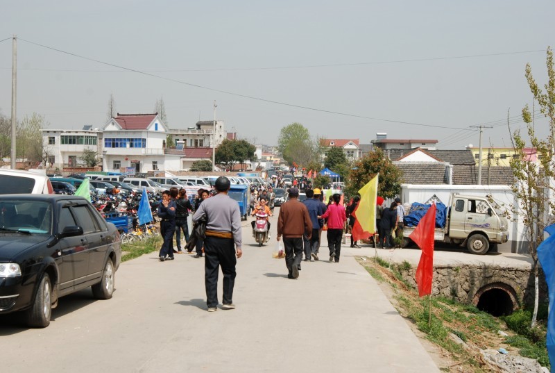 DSC_7903_conew2.JPG