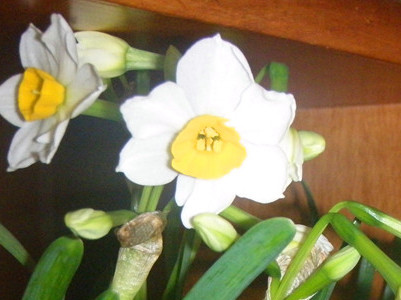 P1019358__.jpg