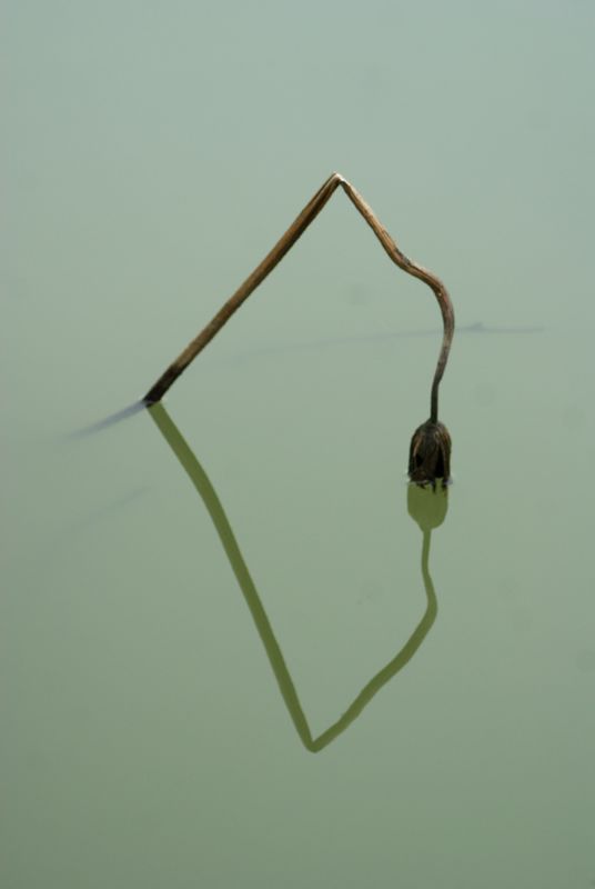 DSC06591 - .JPG