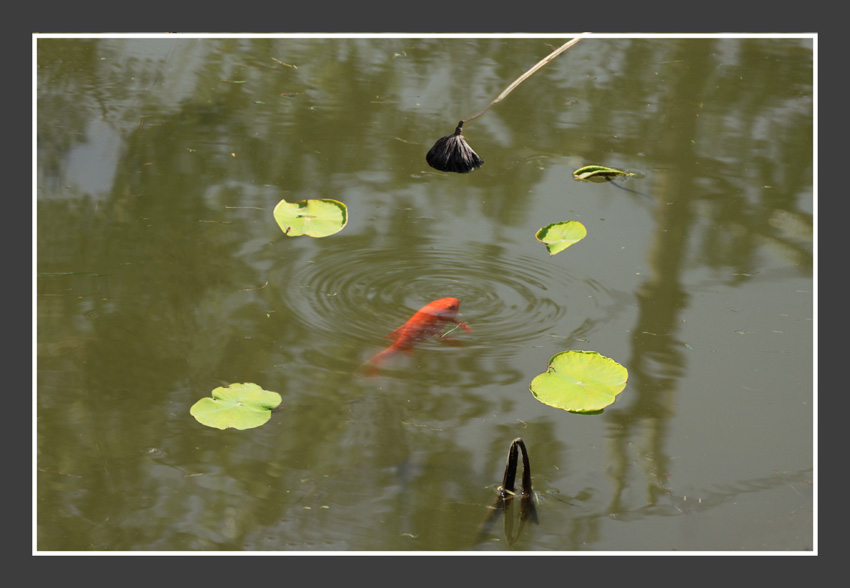 复件 IMG_5717.jpg