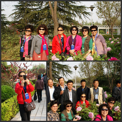 DSC07694_conew1.JPG