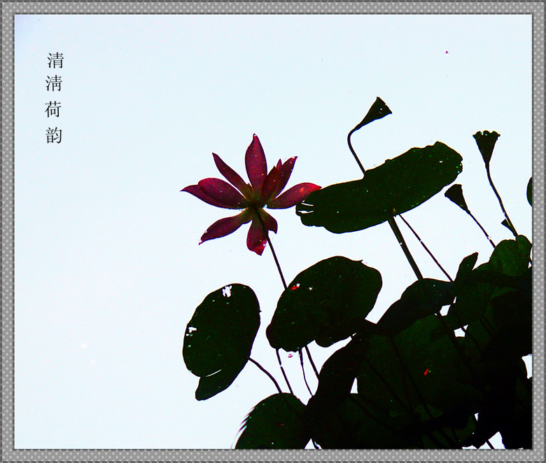 P1340570_副本.jpg
