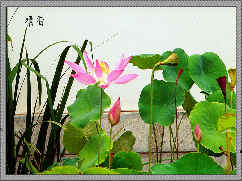 P1340522_副本_副本.jpg