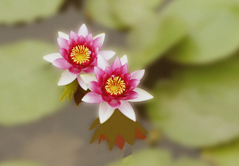 _DSC0701_副本.jpg