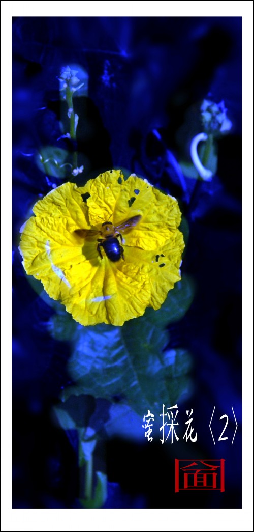 DSC_5579_conew2.JPG