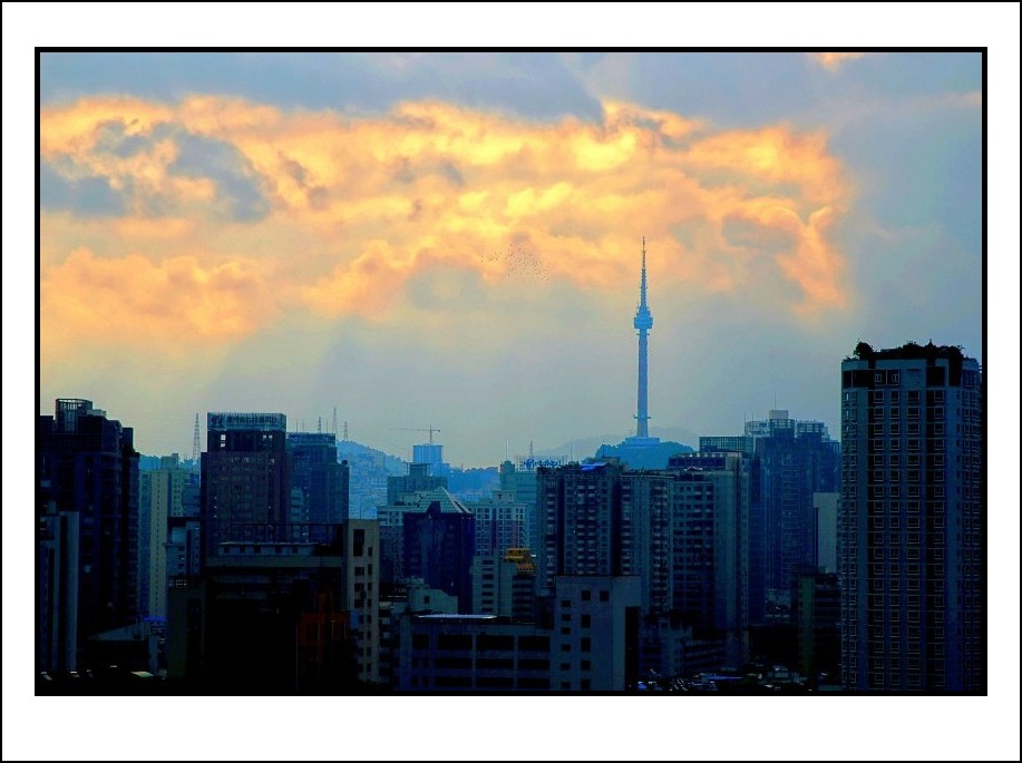 DSC_5848_conew4.JPG