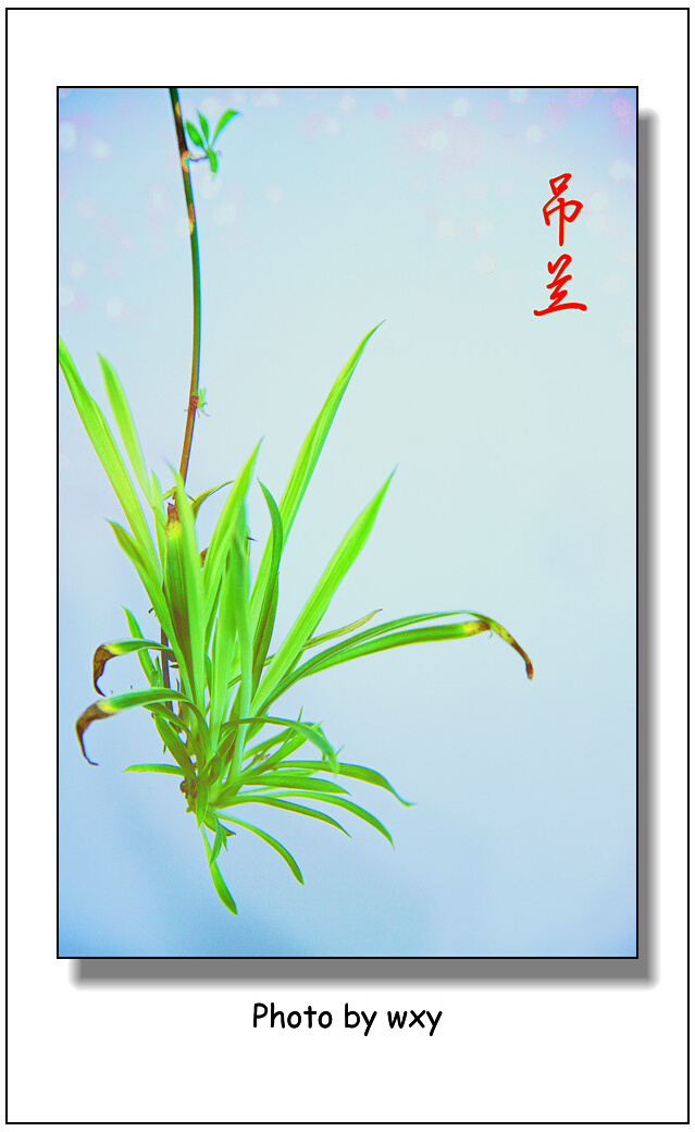 IMG_2866_副本.jpg