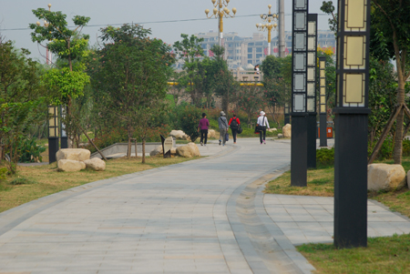 DSC_6591.JPG