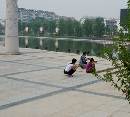 DSC_6567.JPG