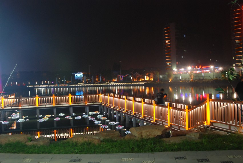 DSC_8474_conew1.JPG