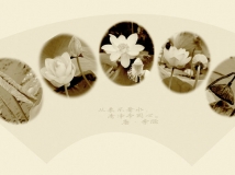Ĺ켣
