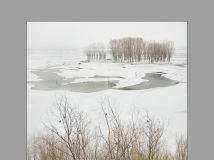 江南雪意